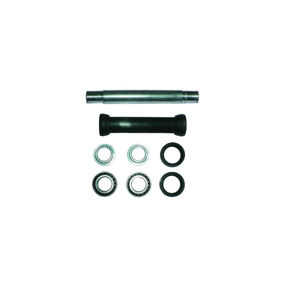 BIRTH Reparatursatz, Querlenker 5900