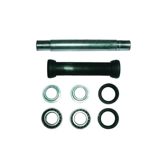 BIRTH Reparatursatz, Querlenker 5900