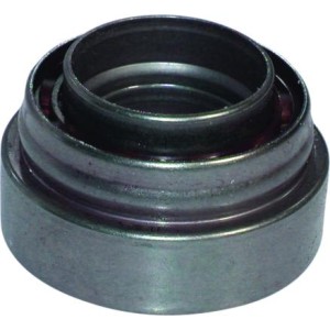 BIRTH Lager, Antriebswelle 6145