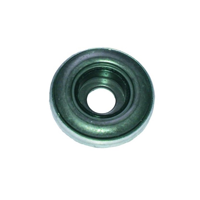 BIRTH Wälzlager, Federbeinstützlager 6324