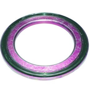 BIRTH Wälzlager, Federbeinstützlager 6420