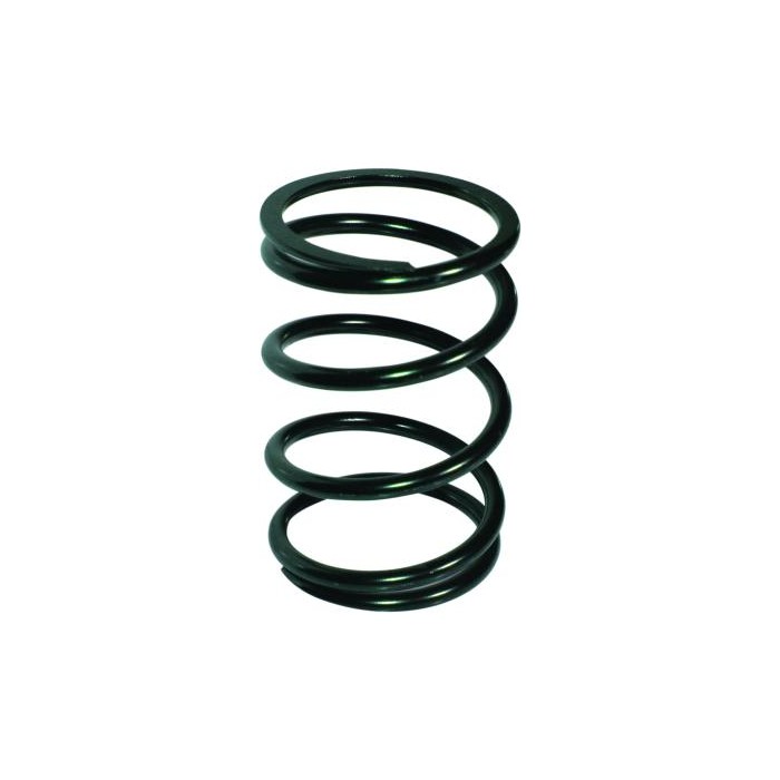 BIRTH Fahrwerksfeder 8024