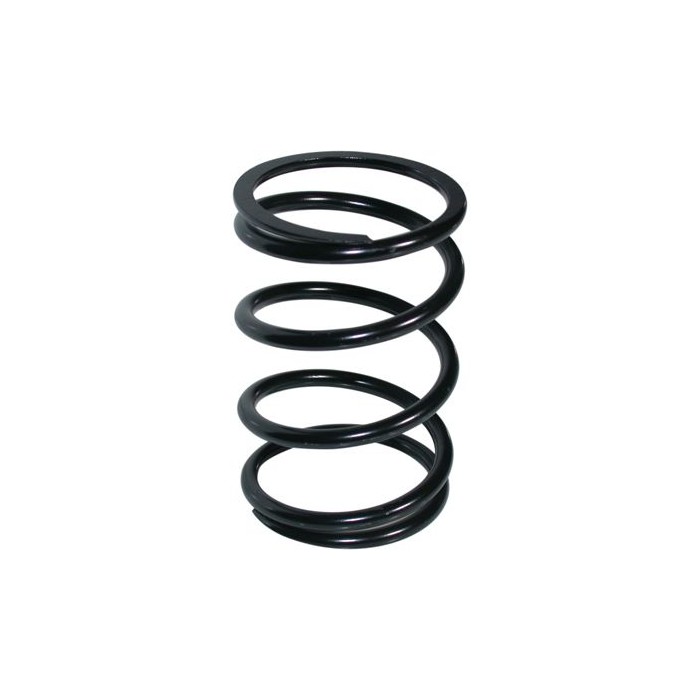 BIRTH Fahrwerksfeder 8024