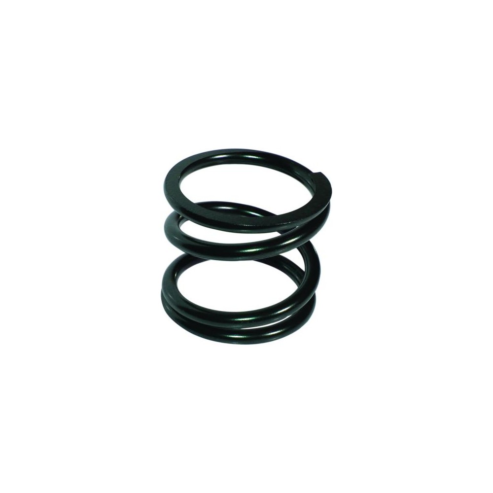 BIRTH Fahrwerksfeder 8026