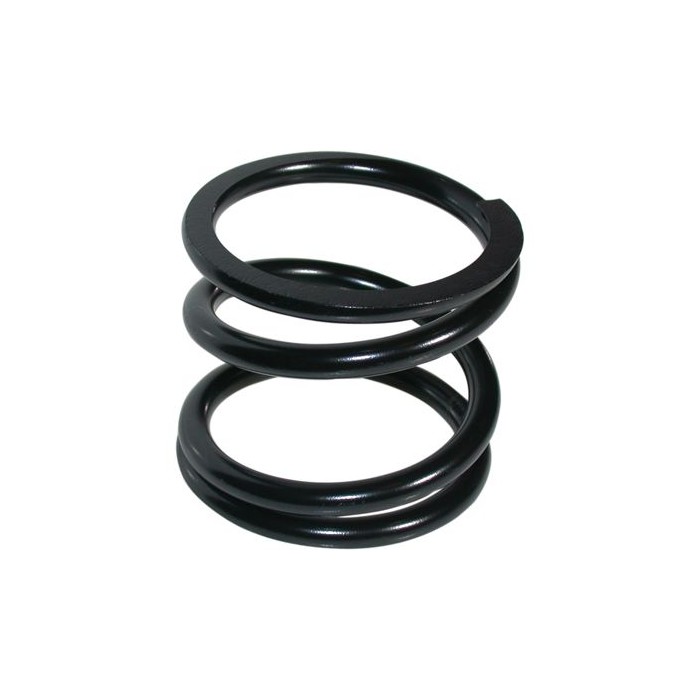 BIRTH Fahrwerksfeder 8026