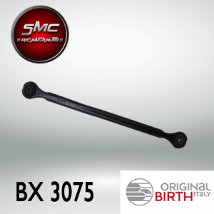 BIRTH Lenker, Radaufhängung BX3075