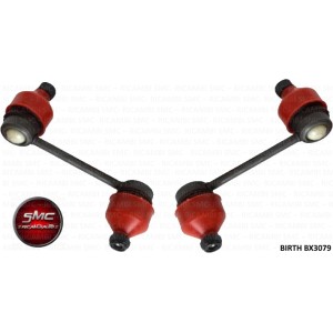 BIRTH Stange/Strebe, Stabilisator BX3079