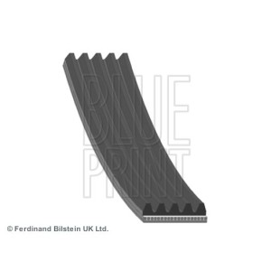 BLUE PRINT Keilrippenriemen AD05R1030