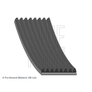 BLUE PRINT Keilrippenriemen AD08R2175