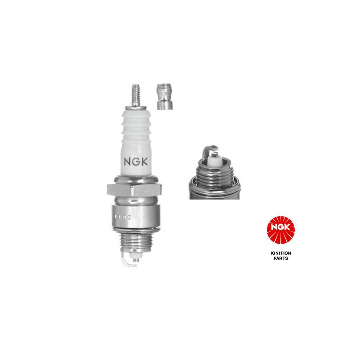  NGKBM6F_2