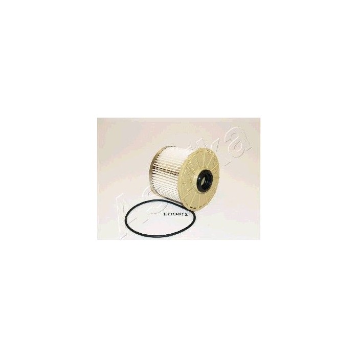 ASHIKA Kraftstofffilter 30-ECO013