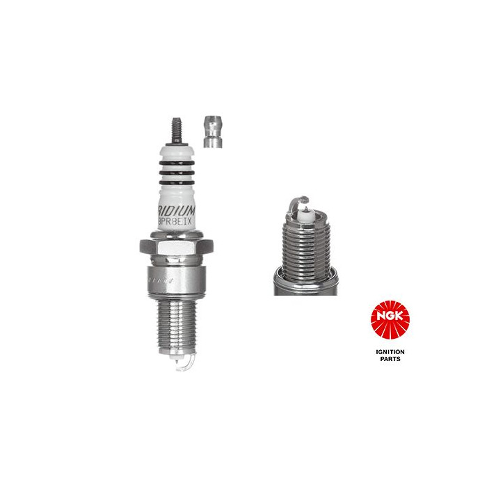  NGKBPR7EIX_2