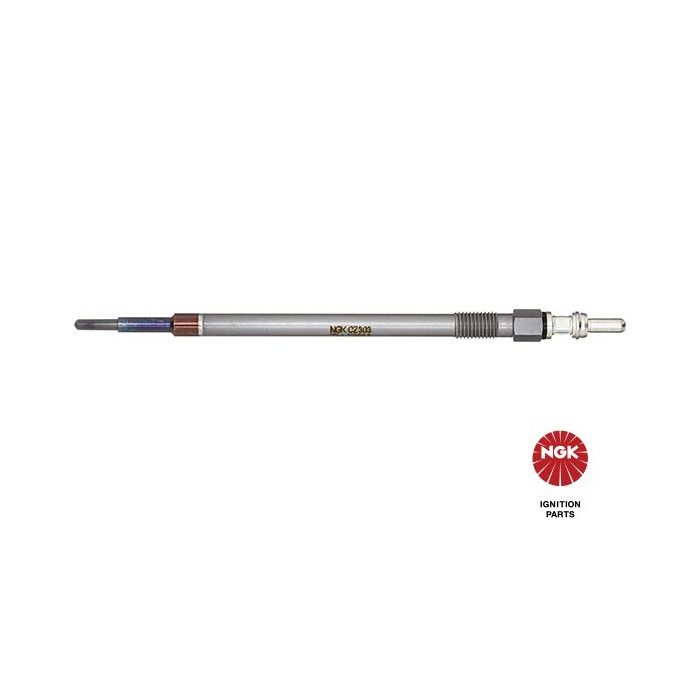  NGKCZ303_2
