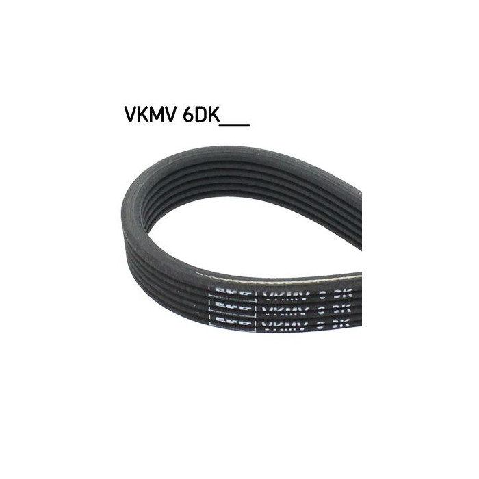  SKFVKMV 6DK1195_2