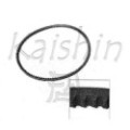 KAIS96565821_1