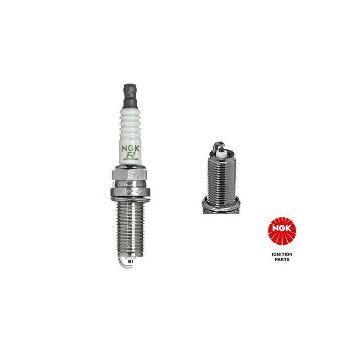  NGKLFR5B_2