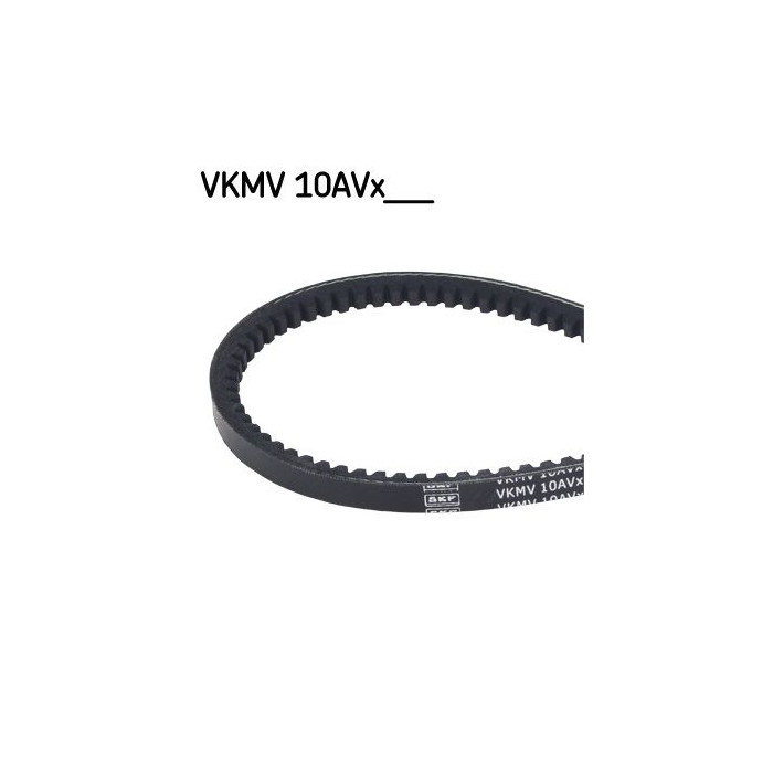  SKFVKMV 10AVX1025_2