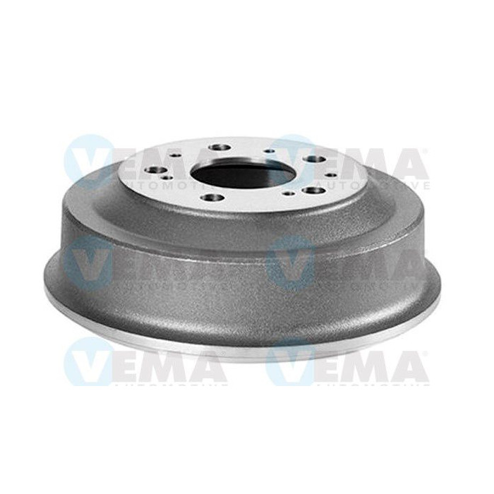 VEMA801003_1
