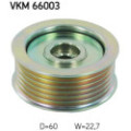  SKFVKM 66003_2