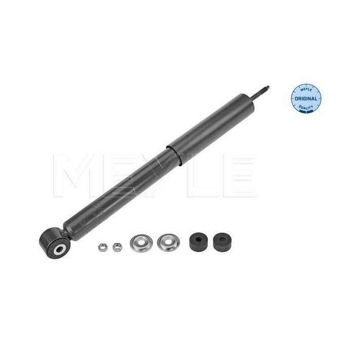  MEYL33-26 725 0001_2