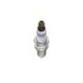 BOSCH Double Iridium Zündkerze 0242129524