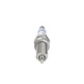 BOSCH Double Platinum Zündkerze 0242135509
