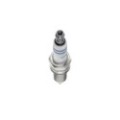BOSCH Double Platinum Zündkerze 0242135509