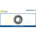 SANDSBE58101.0_1