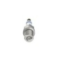BOSCH Double Platinum Zündkerze 0242236564