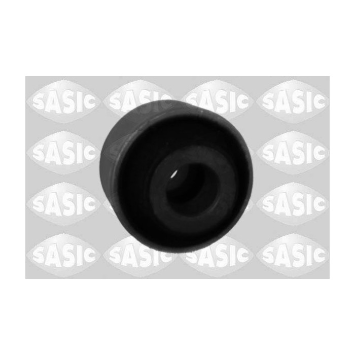  SASI2254010_2