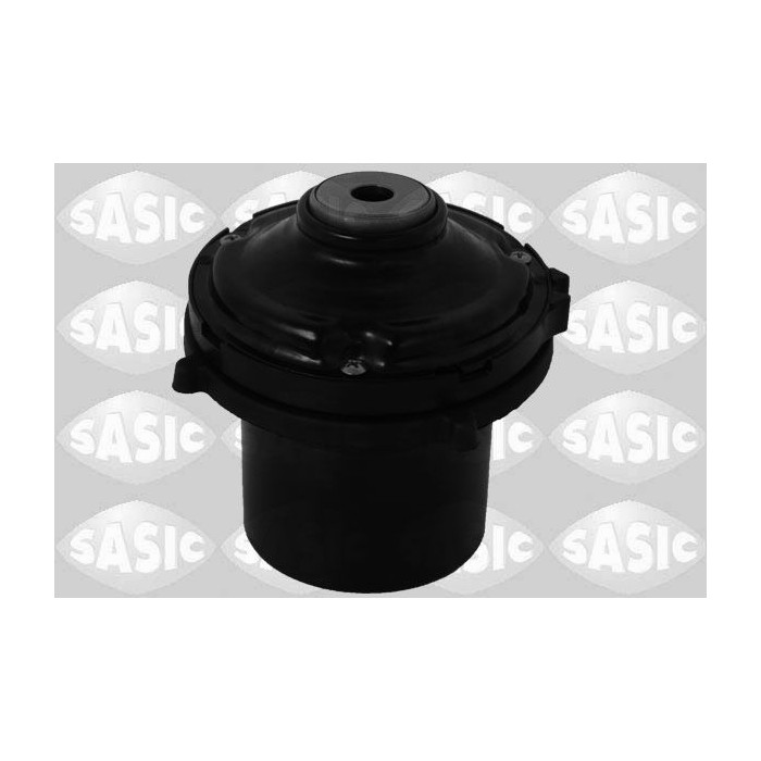 SASI2656063_1