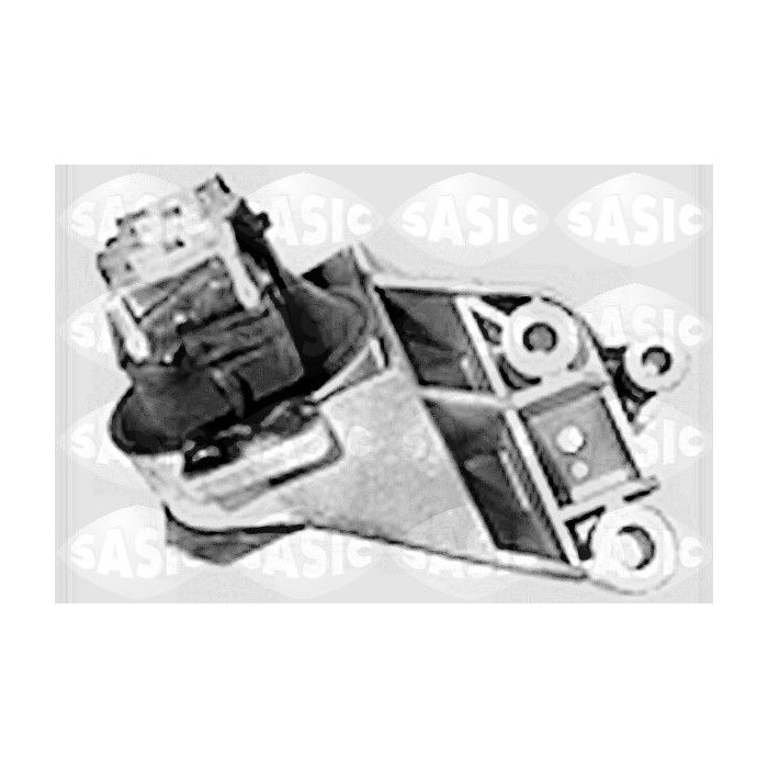 SASI4001734_1
