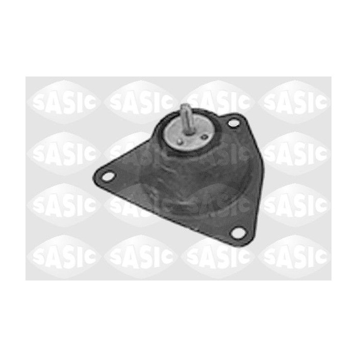 SASI4001764_1