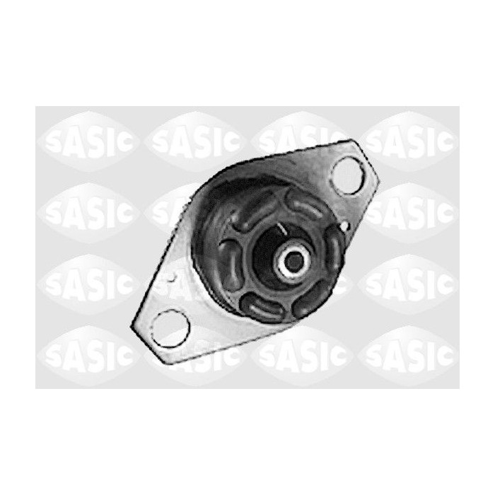 SASI9001317_1