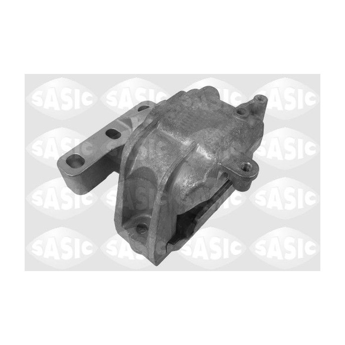 SASI9001939_1
