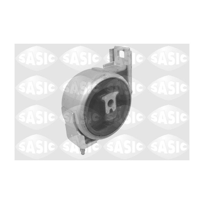 SASI9002503_1