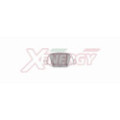  XENEX40735_2