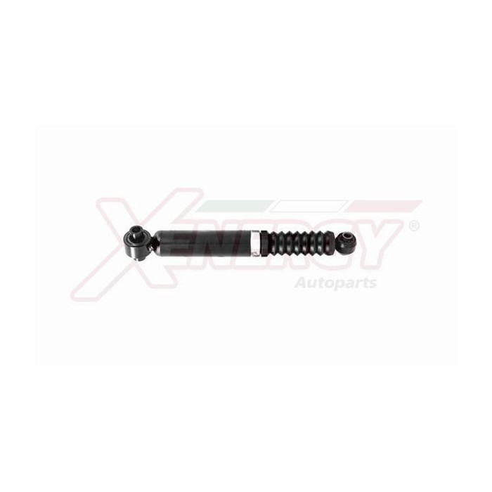  XENEX249341_2