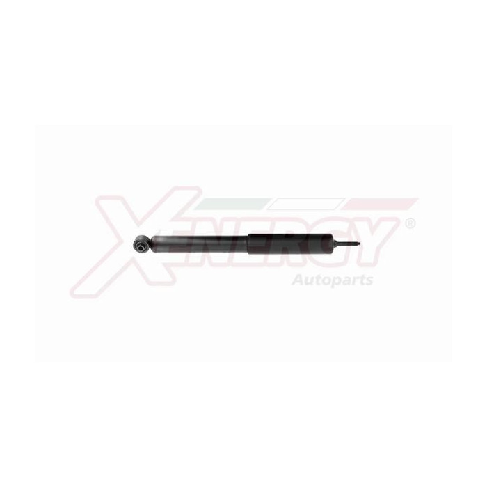  XENEX350343_2