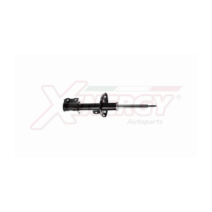  XENEX755333_2