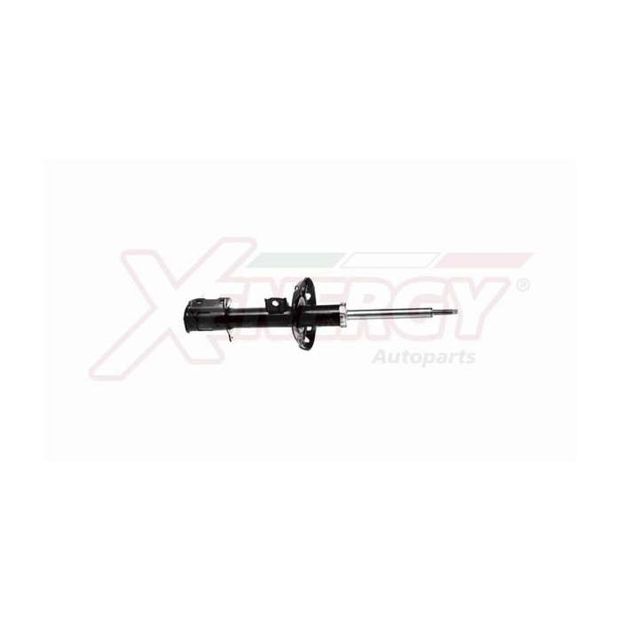  XENEX756333_2