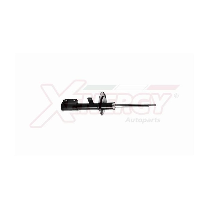  XENEX763333_2