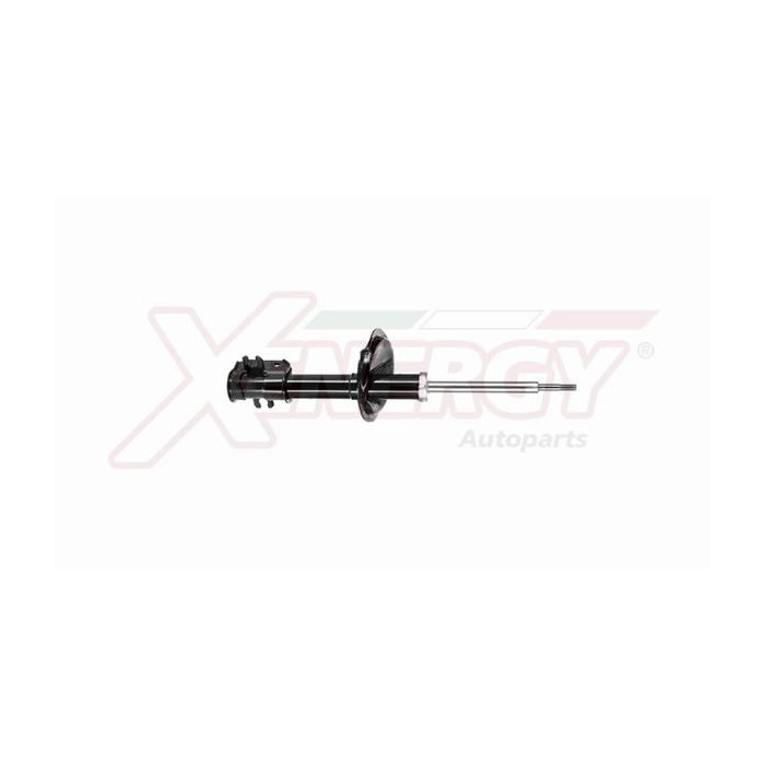  XENEX843333_2