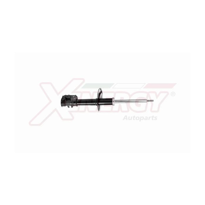  XENEX864334_2