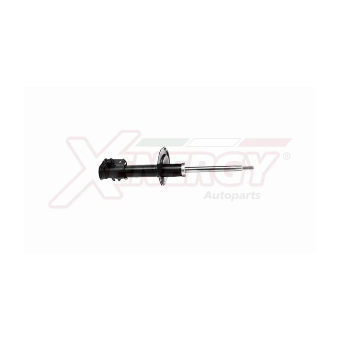  XENEX865334_2
