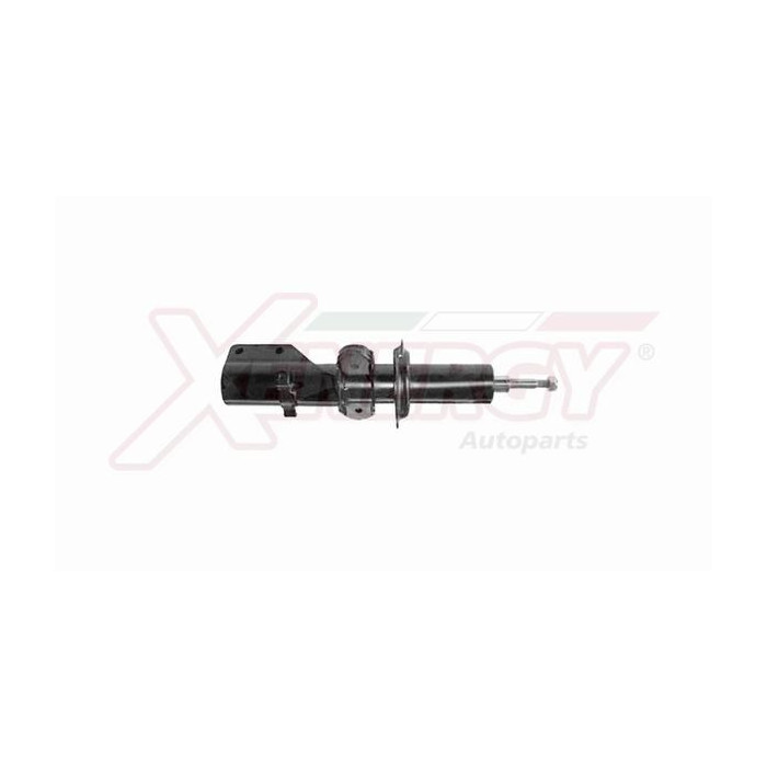  XENEX951633_2