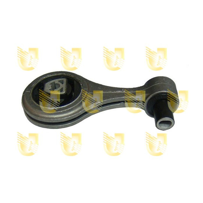 UNIG395475_1