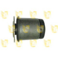 UNIG390156_1