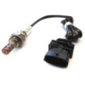 HOFF7481502_1