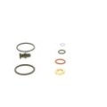 BOSCH O-Ring-Reparaturset 1417010997